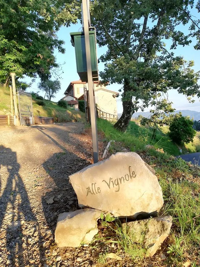 Alle Vignole Bed & Breakfast Coreglia Antelminelli Italy